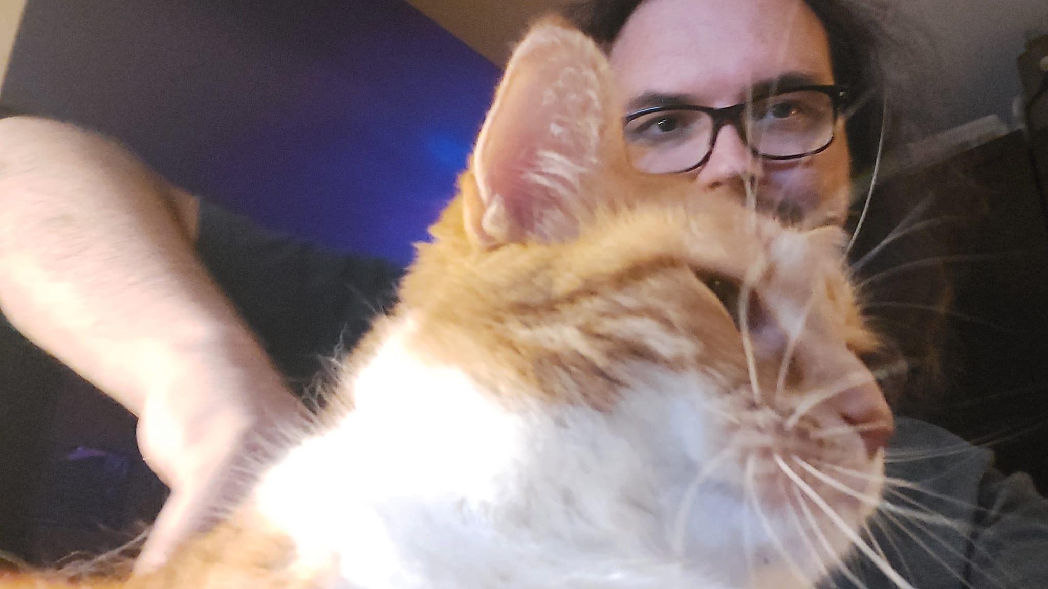 An orange cat is with a man with long dark hair, photo 2